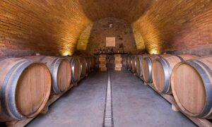 Pavimenti cantine vitivinicole