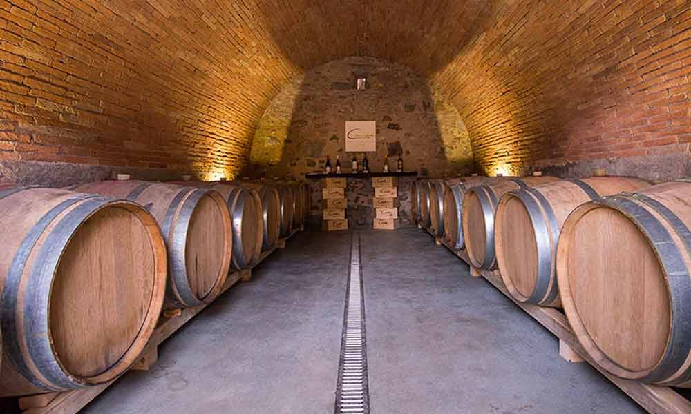 Pavimenti cantine vitivinicole
